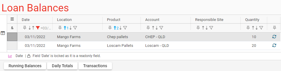 Loan Balances